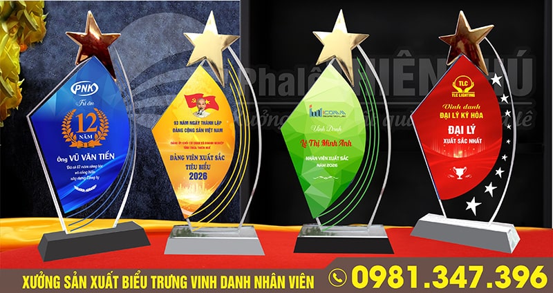 biểu trưng vinh danh nhân viên cuối năm hình ngôi sao