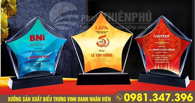 biểu trưng vinh danh nhân viên ngôi sao cuối năm 