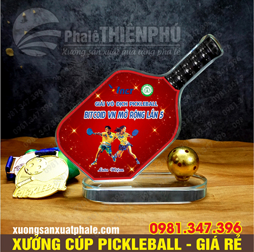 Cúp giải pickleball 19