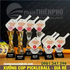 Bộ Cúp Pickleball Nhất Nhì Ba Gắn Vợt Pha Lê