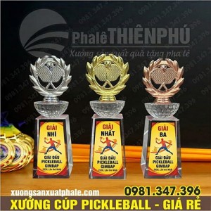 Bộ Cúp Pickleball Pha Lê Đế Đúc Gắn Kim Loại